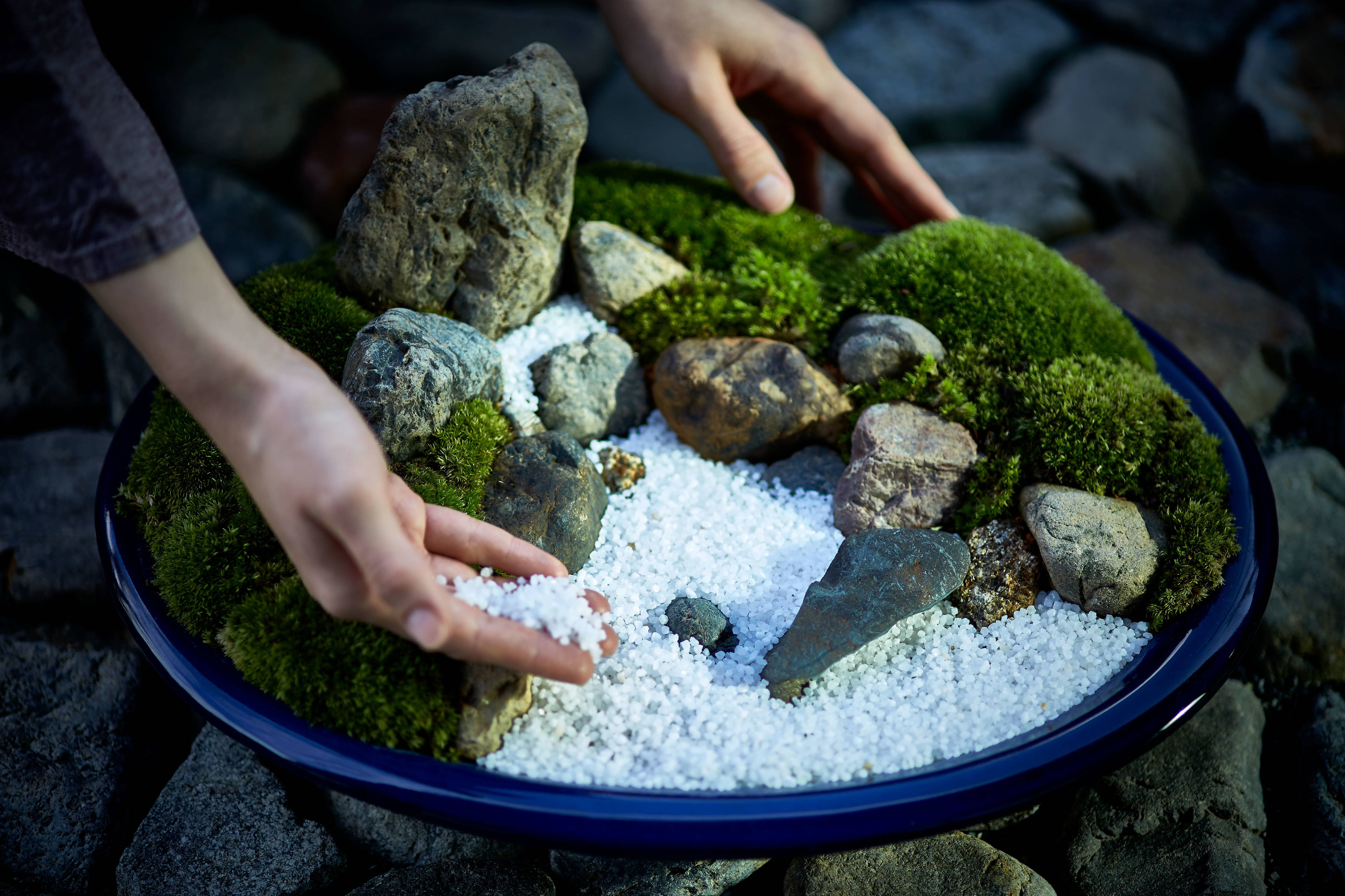 The Art of Zen